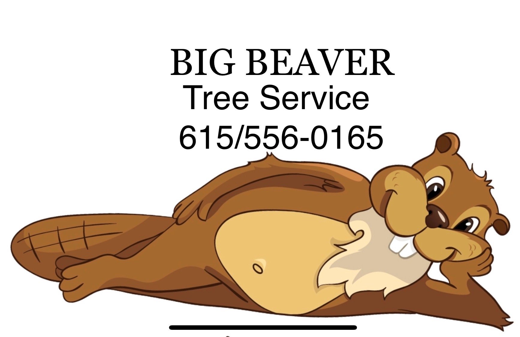 Big Beaver Tree Service Logo