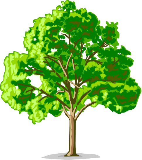 Good Choice X-Pert Tree Service Logo