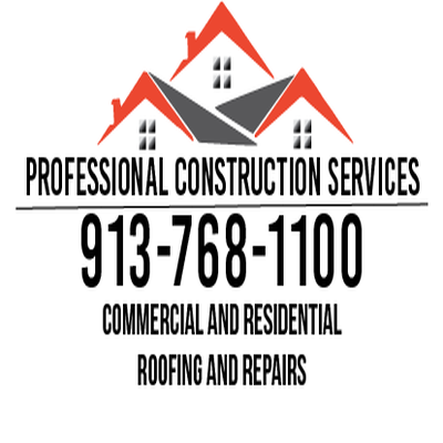 Professional Construction Services Logo