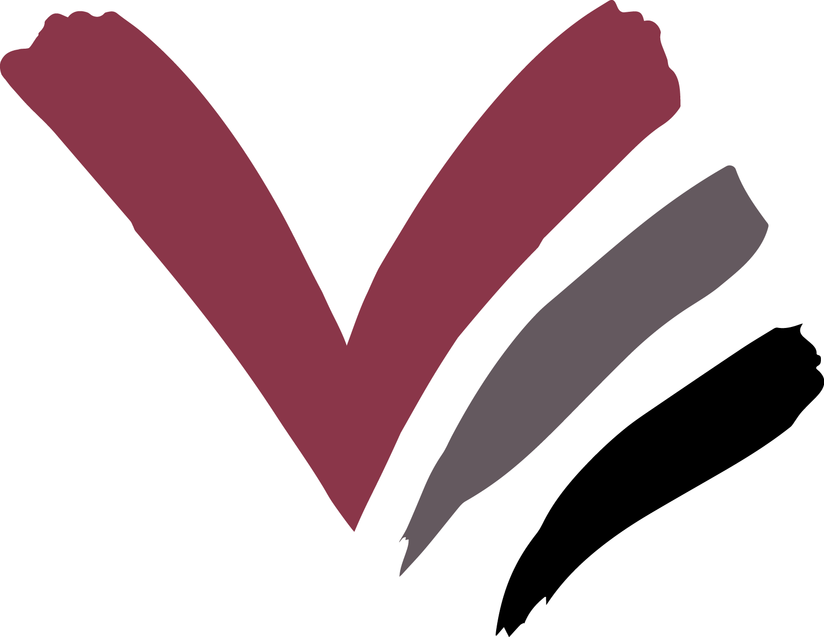 Visual Enhancements, Inc. Logo
