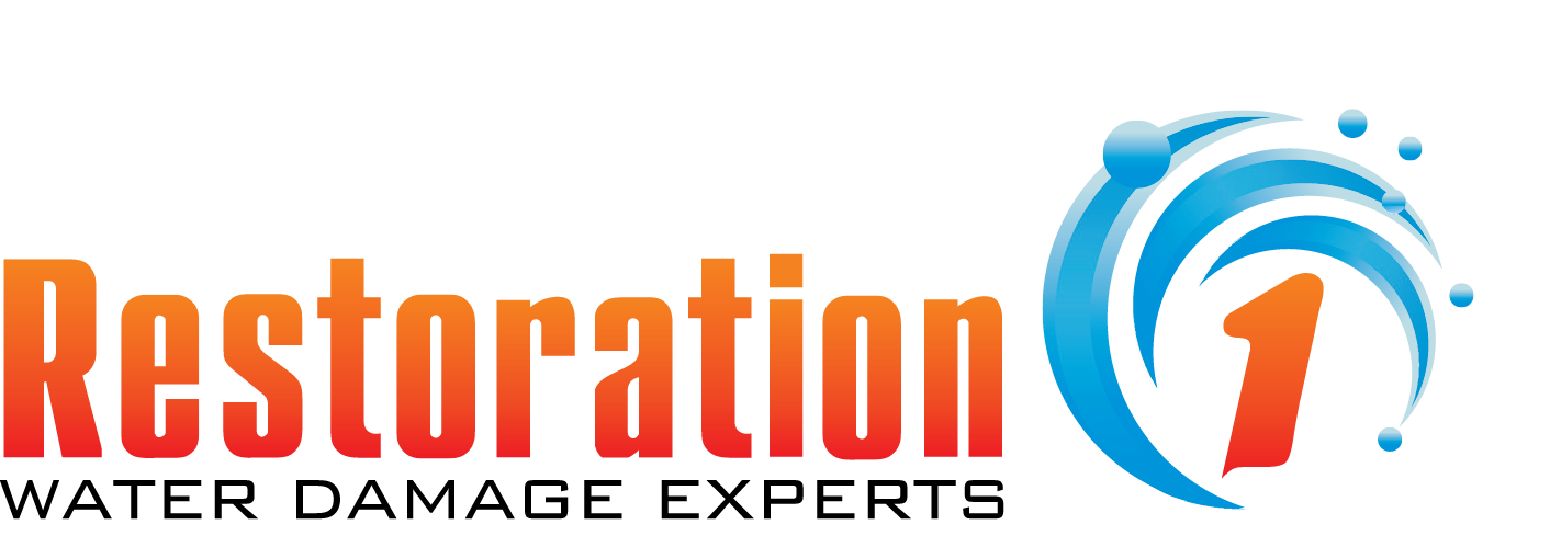 Restoration Solutions Inc. Logo