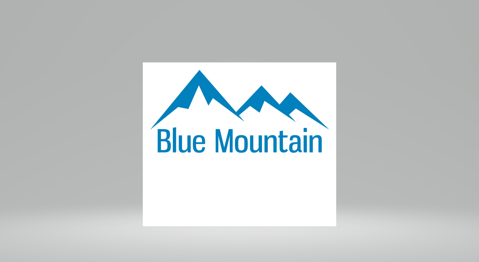 Blue Mountain Painting, LLC Logo