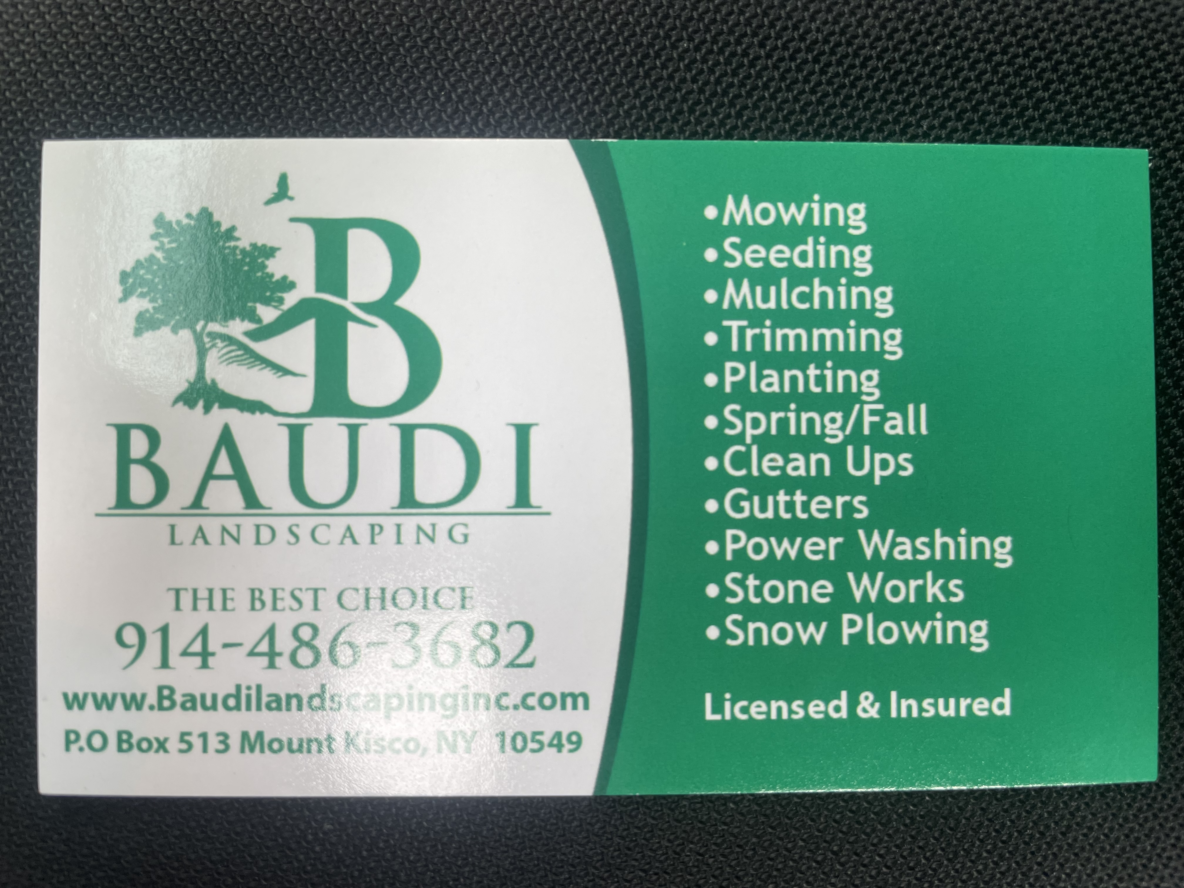 Baudi Landscaping, Inc. Logo