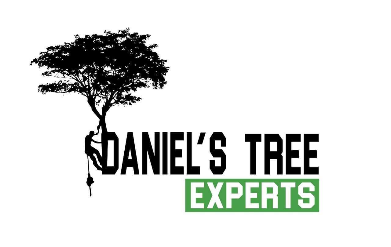 Daniel's Tree Expert Logo