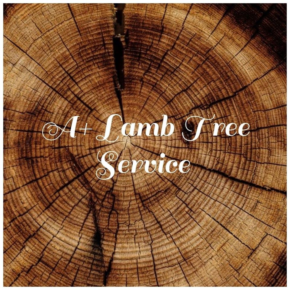 A+ Lamb Tree Service Logo