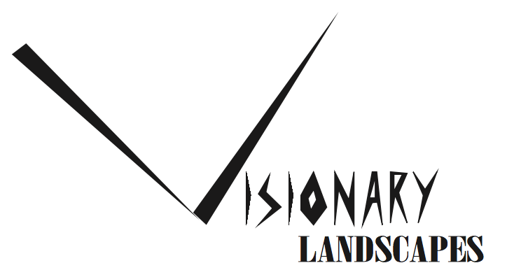 Visionary Outdoor Rooms Logo