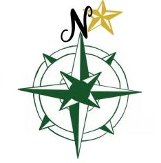 North Star Roof Deicing Logo