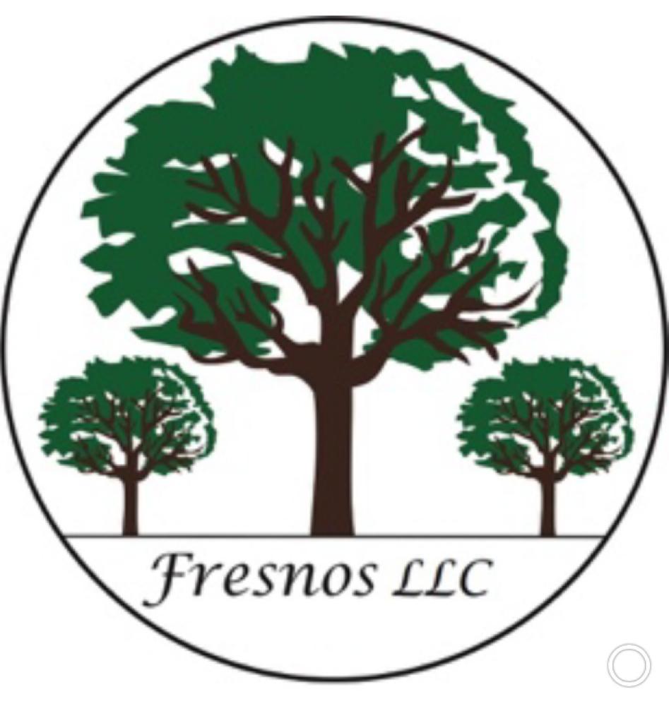 Fresnos Pressure Washer Services Logo