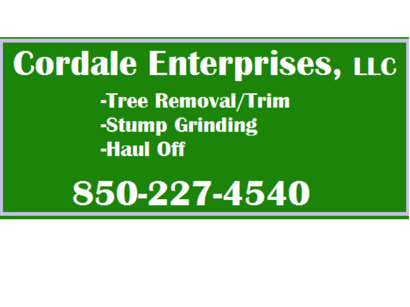 Cordale Enterprise Logo