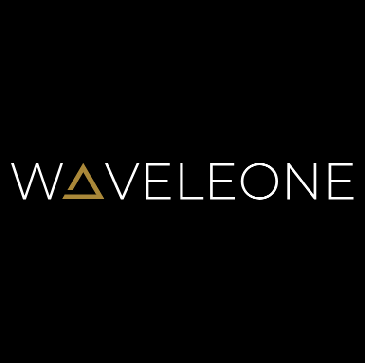 Waveleone Construction, LLC Logo
