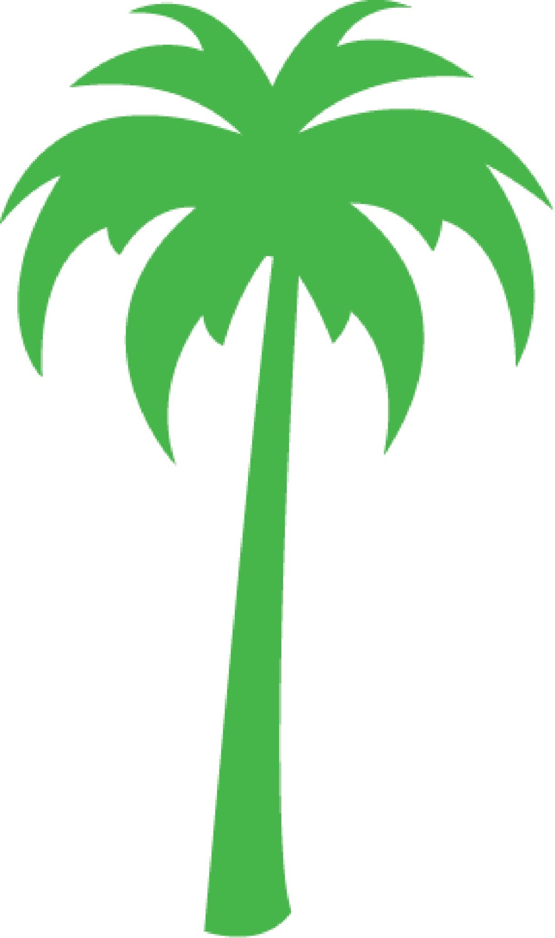 Tampa Outdoors Logo