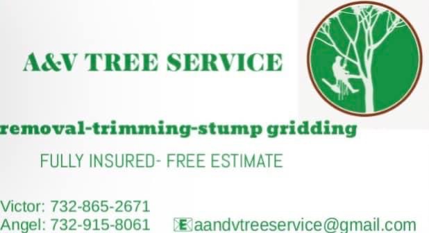 A & V tree services Logo
