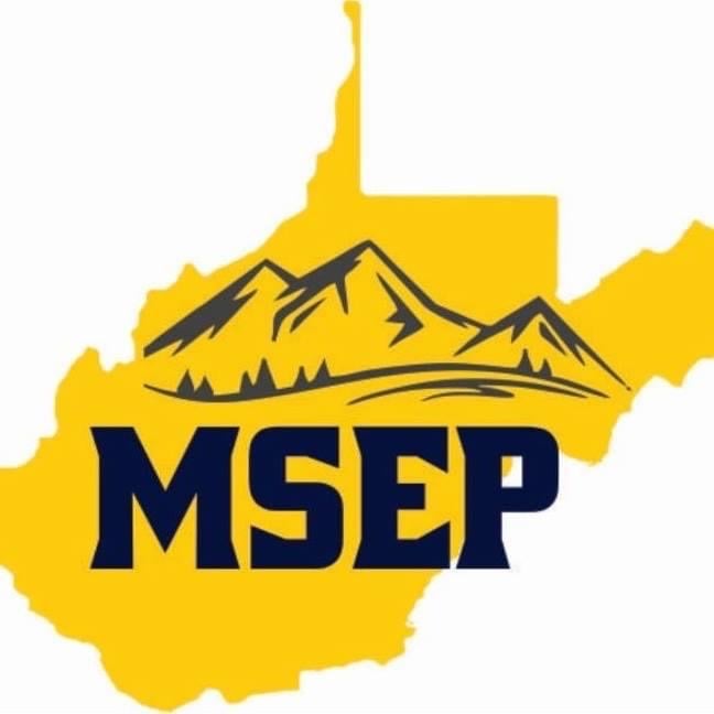 Mountain State Exterior Pros, LLC Logo