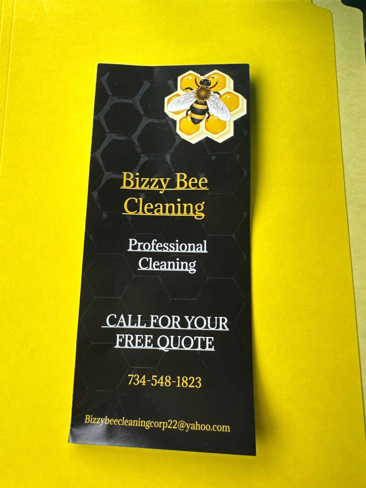 Bizzy Bee Cleaning Logo