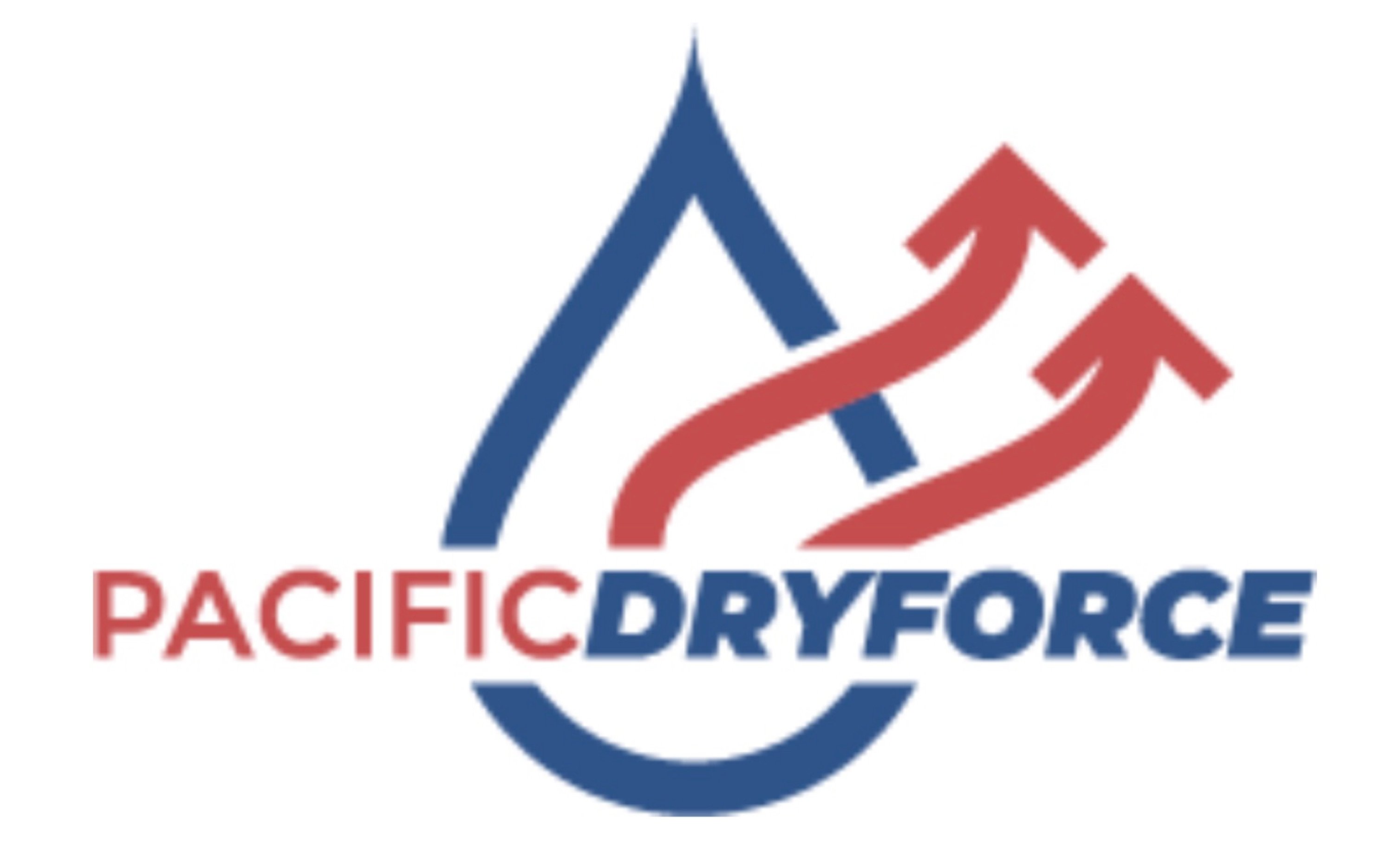 Pacific DryForce Logo