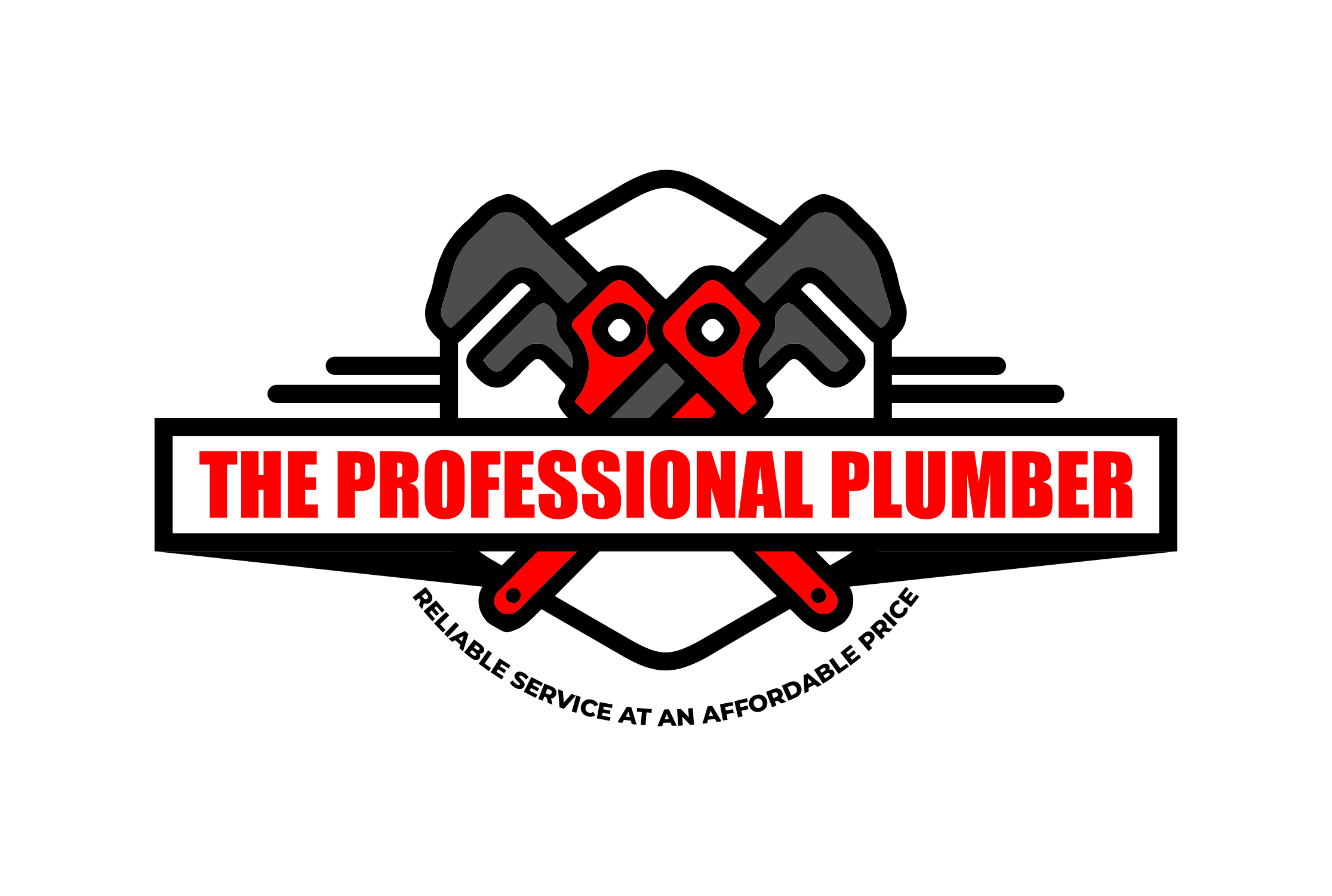 The Professional Plumber, LLC Logo