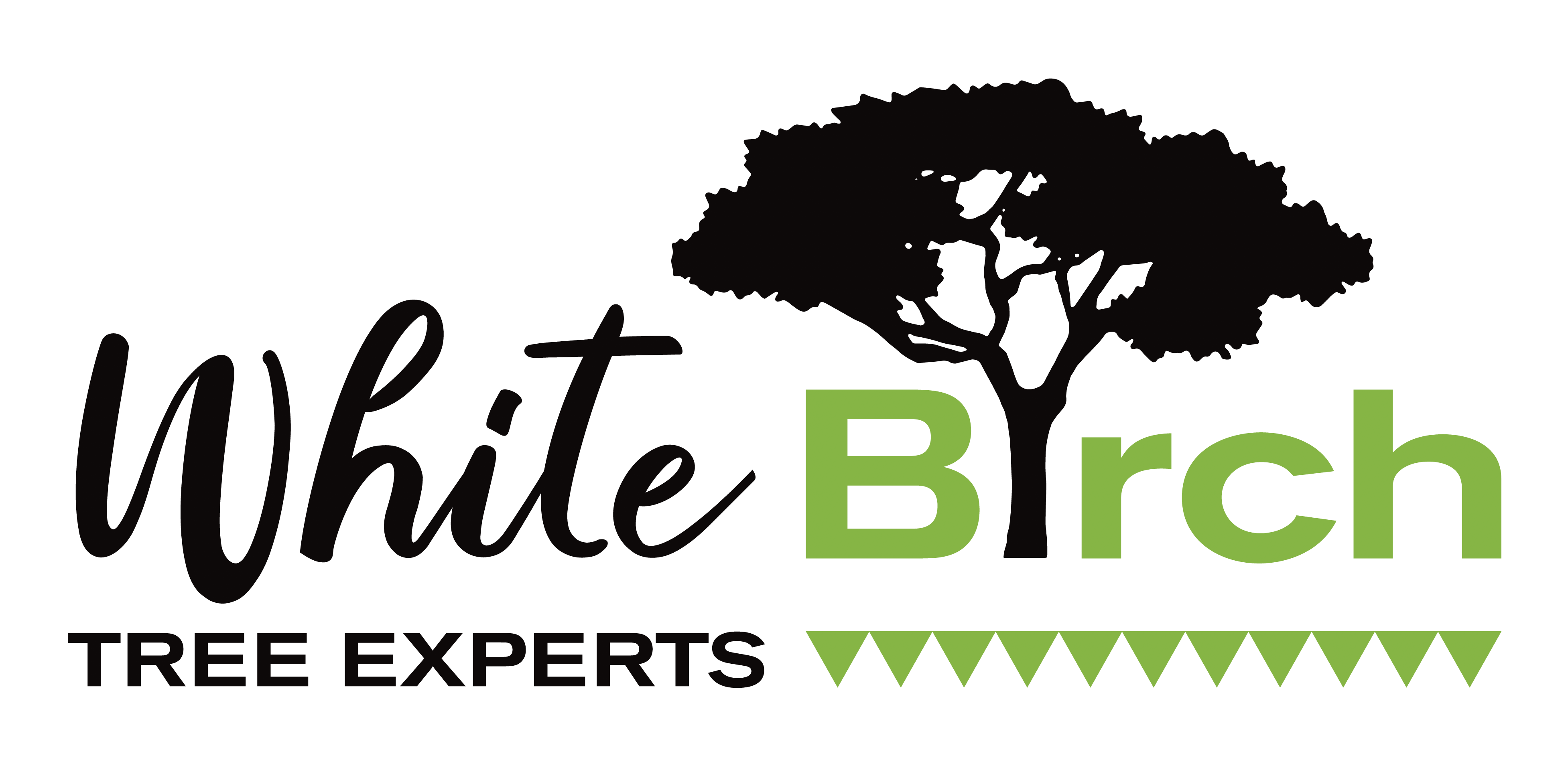 White Birch Tree Experts, LLC Logo