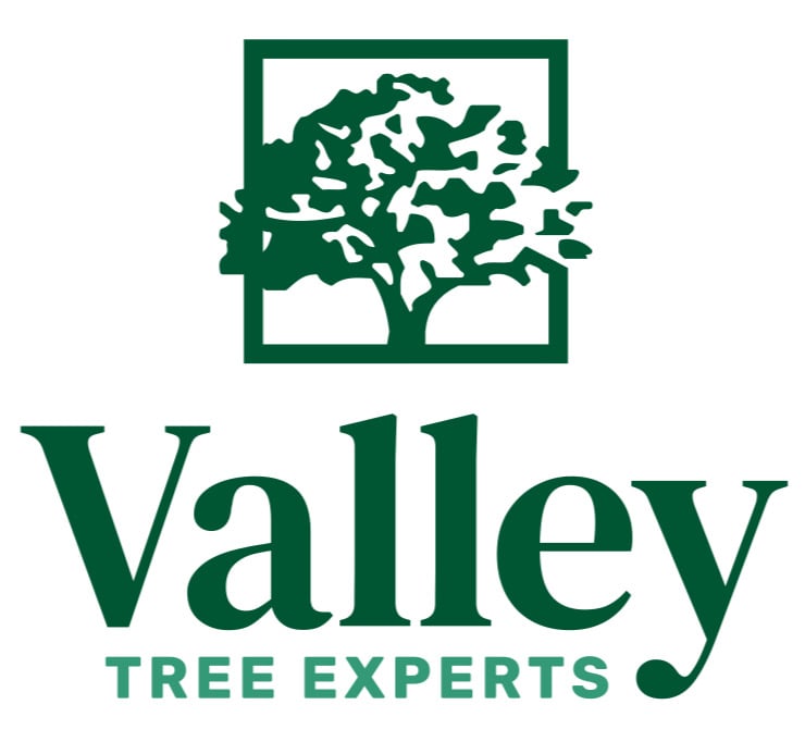 Valley Tree Experts Logo