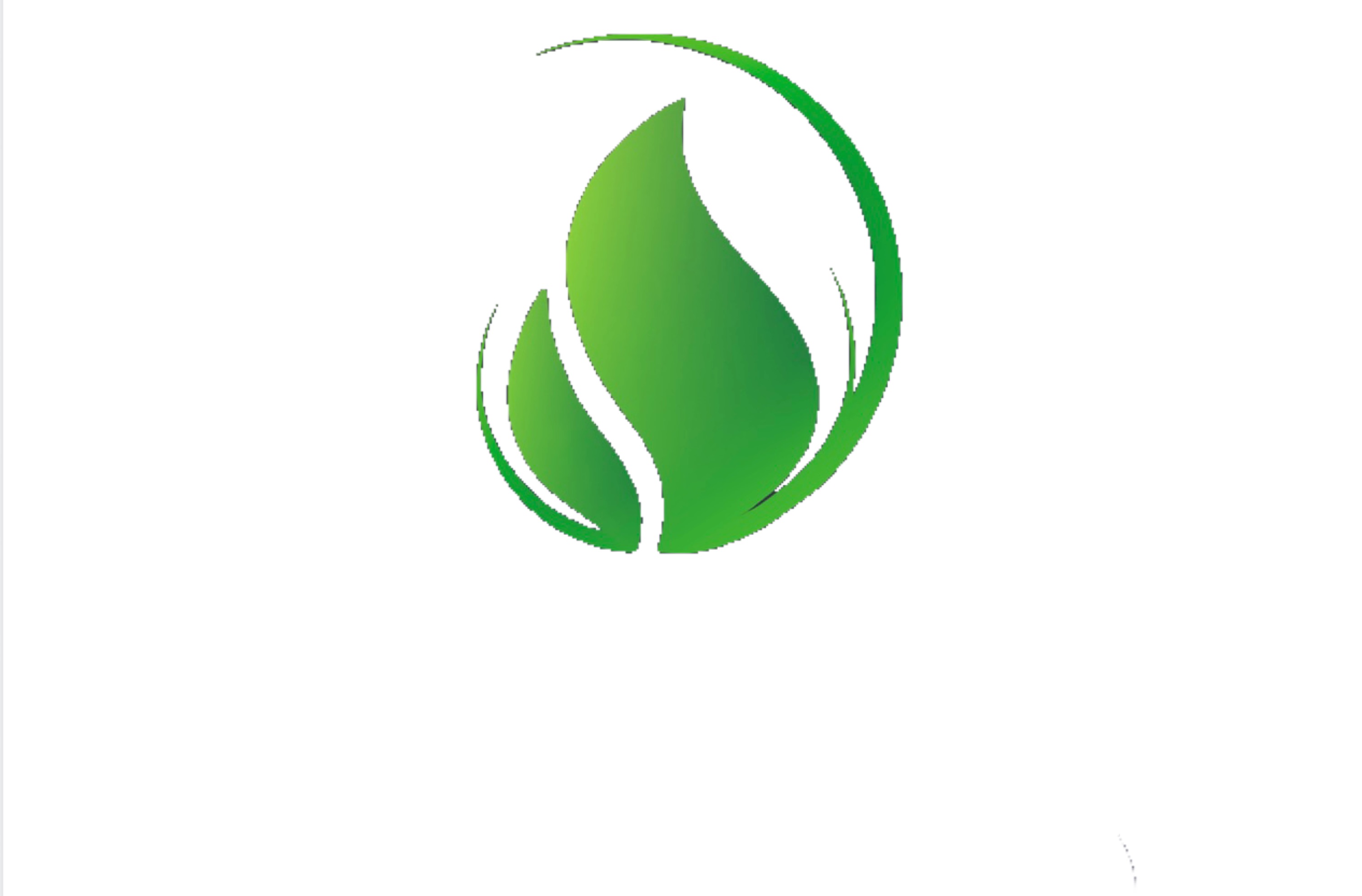 Wild Willow Landscape & Maintenance Logo