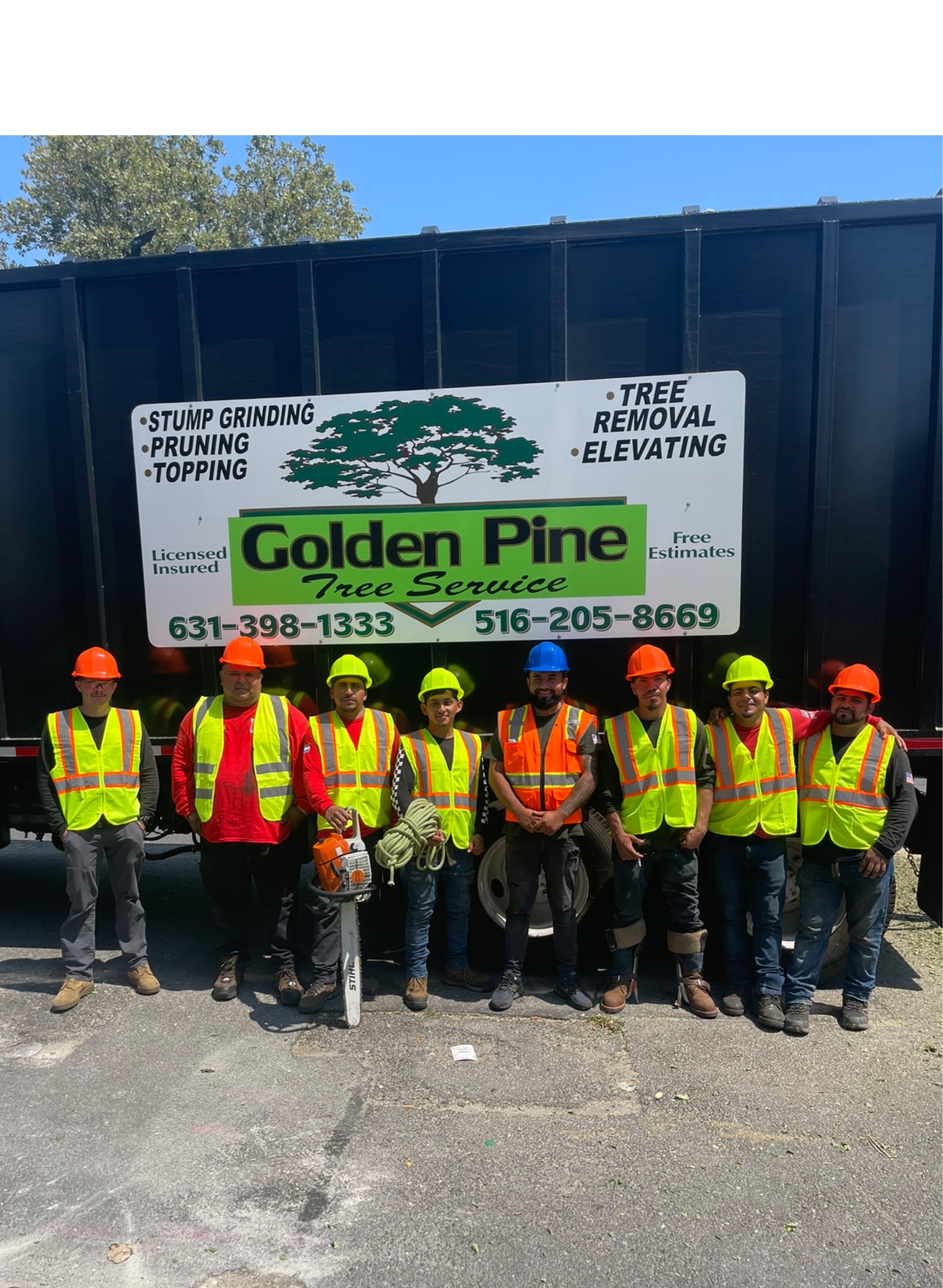 Golden Pine Tree Service Logo