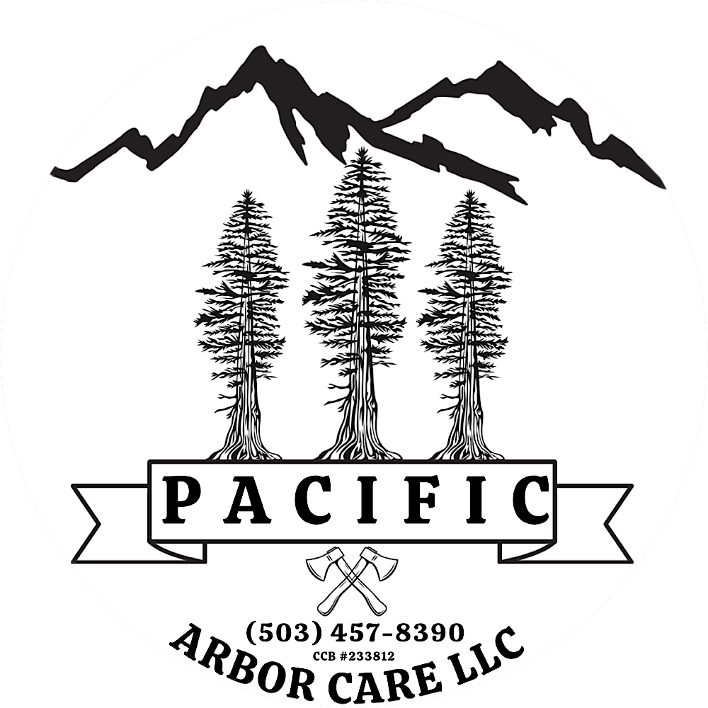 Pacific Arbor Care, LLC Logo