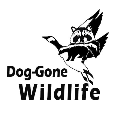 Dog-Gone Wildlife Solutions, LLC Logo