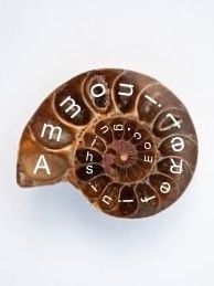 Ammonite Refinishing and Flooring Logo