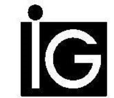 IG Consulting Logo