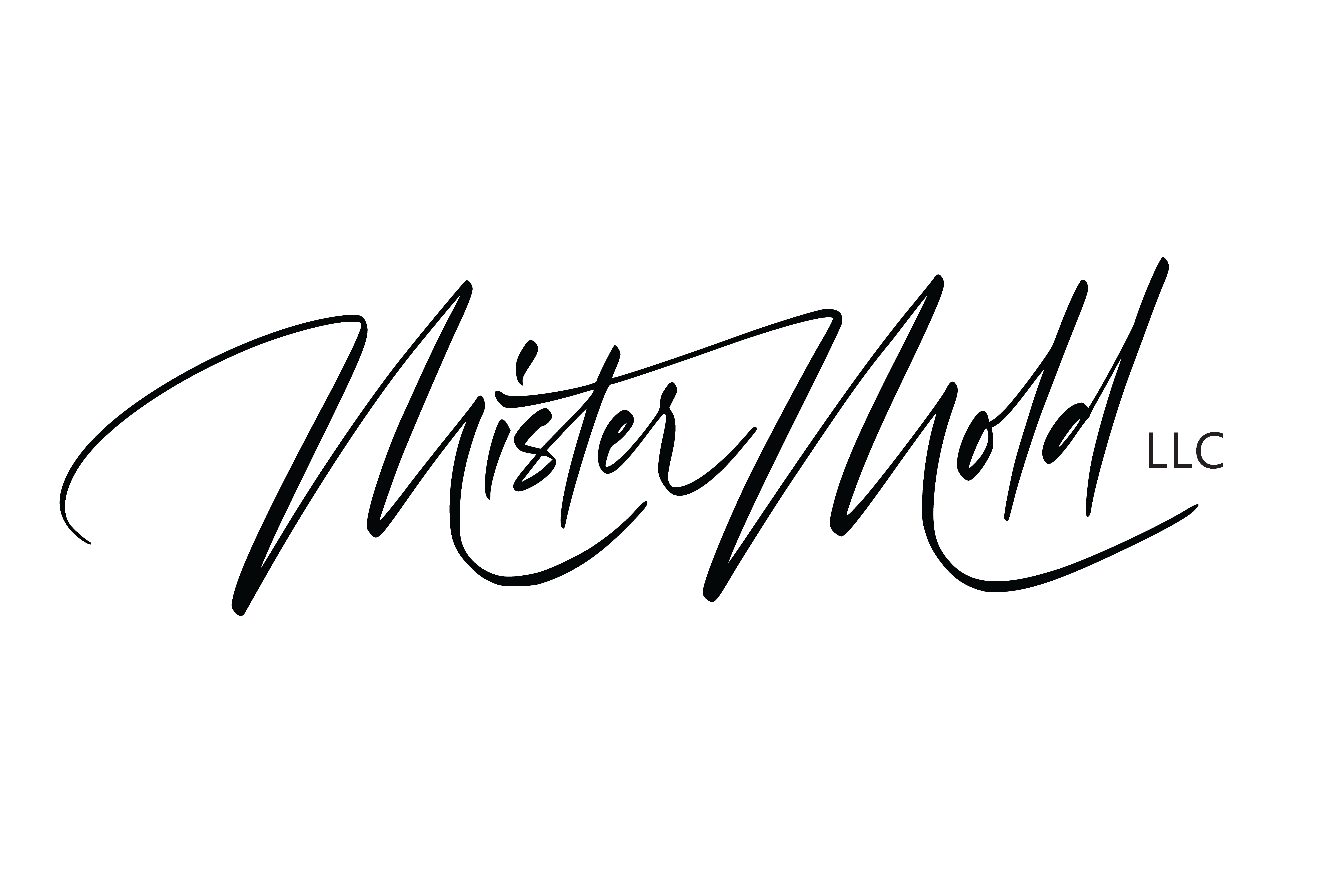 Mister Mold Logo