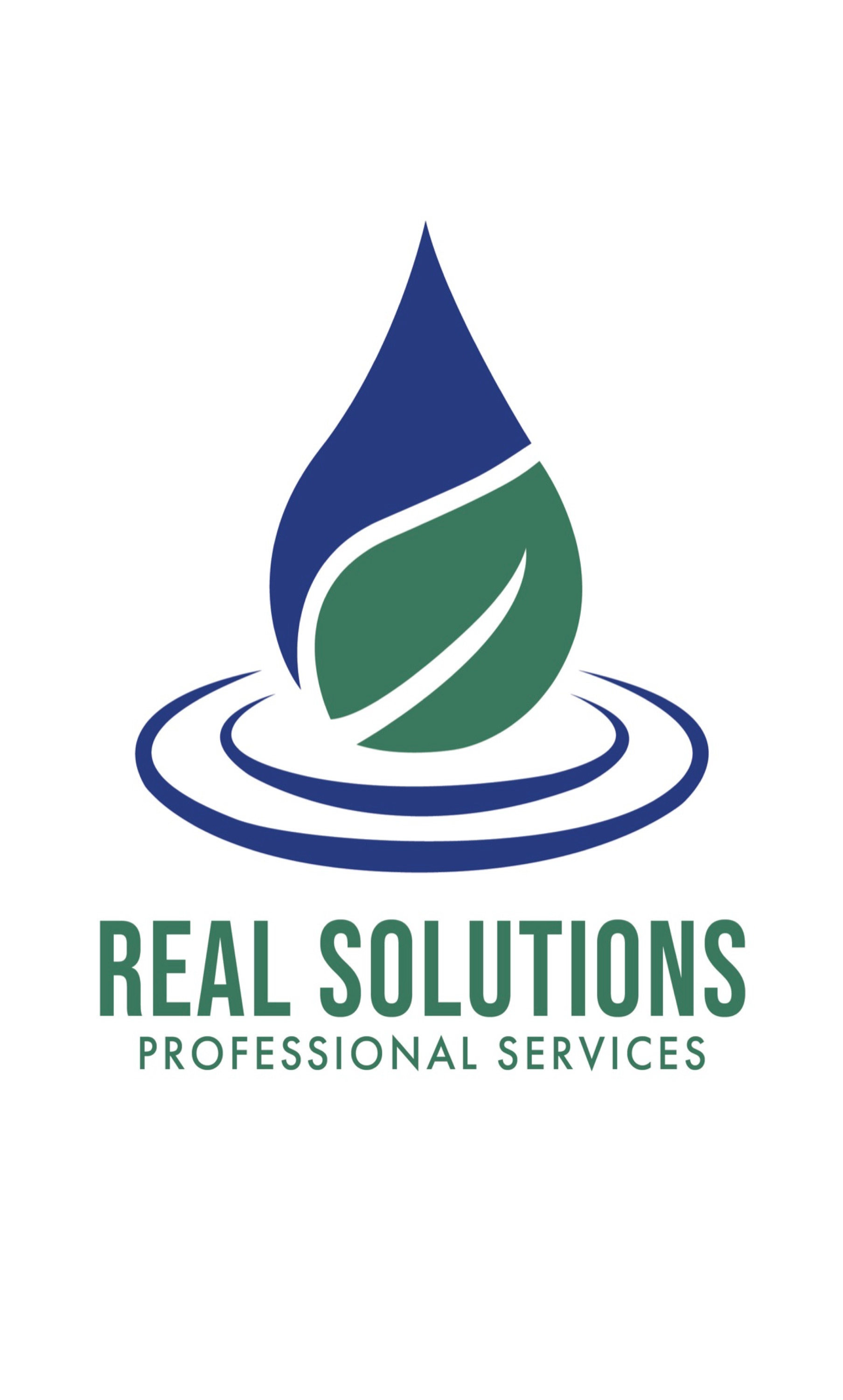 Real Solutions Professional Services LLP Logo