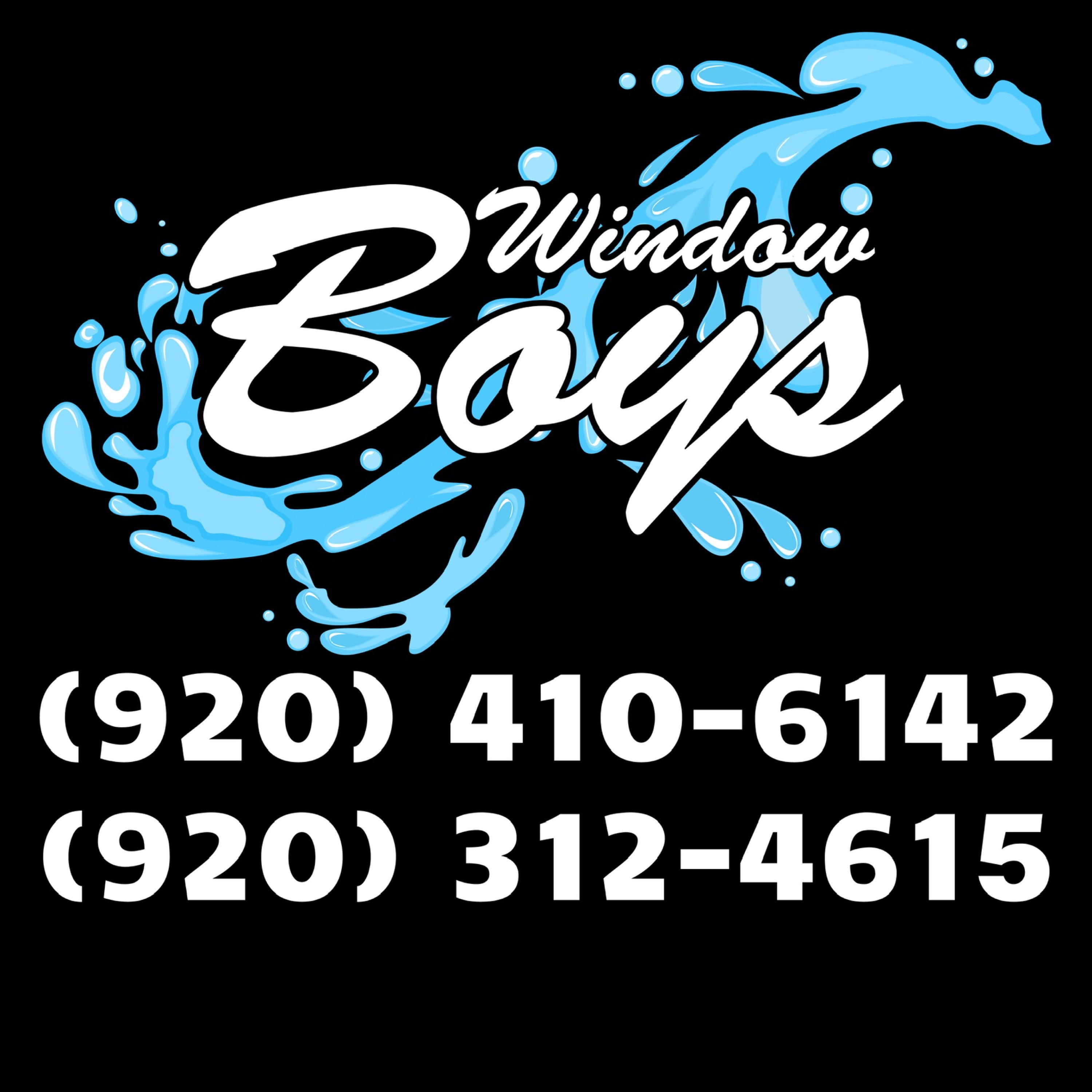Window Boys LLC Logo