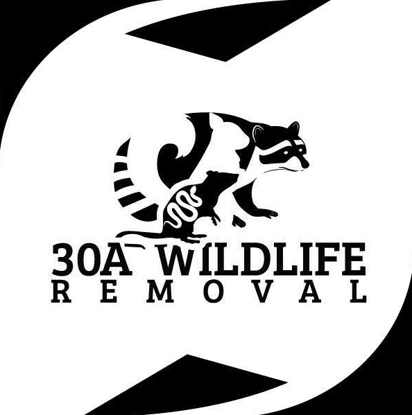 30A Wildlife Removal LLC Logo