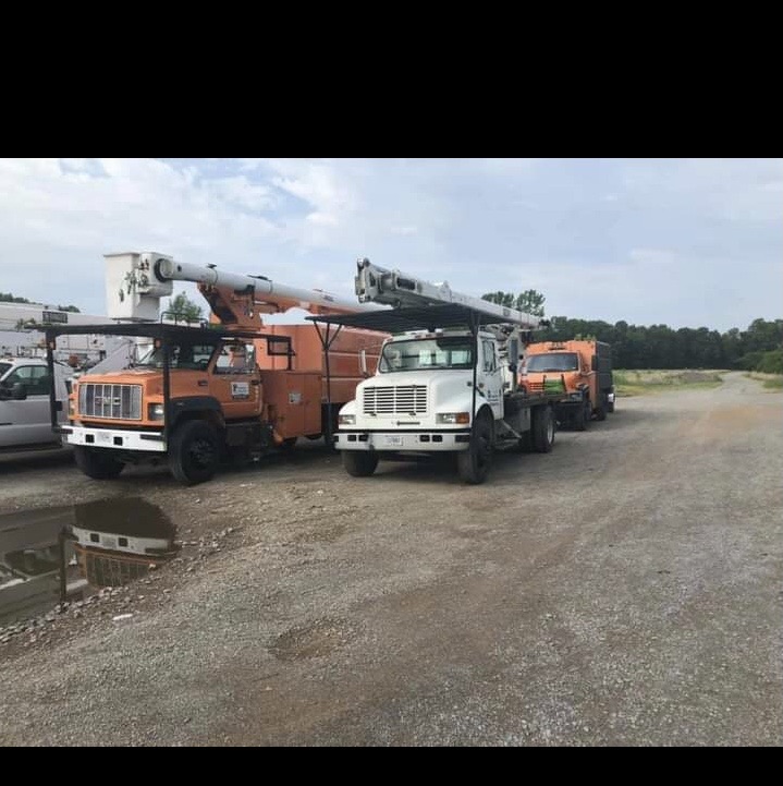 Anderson Bros Tree Service Logo