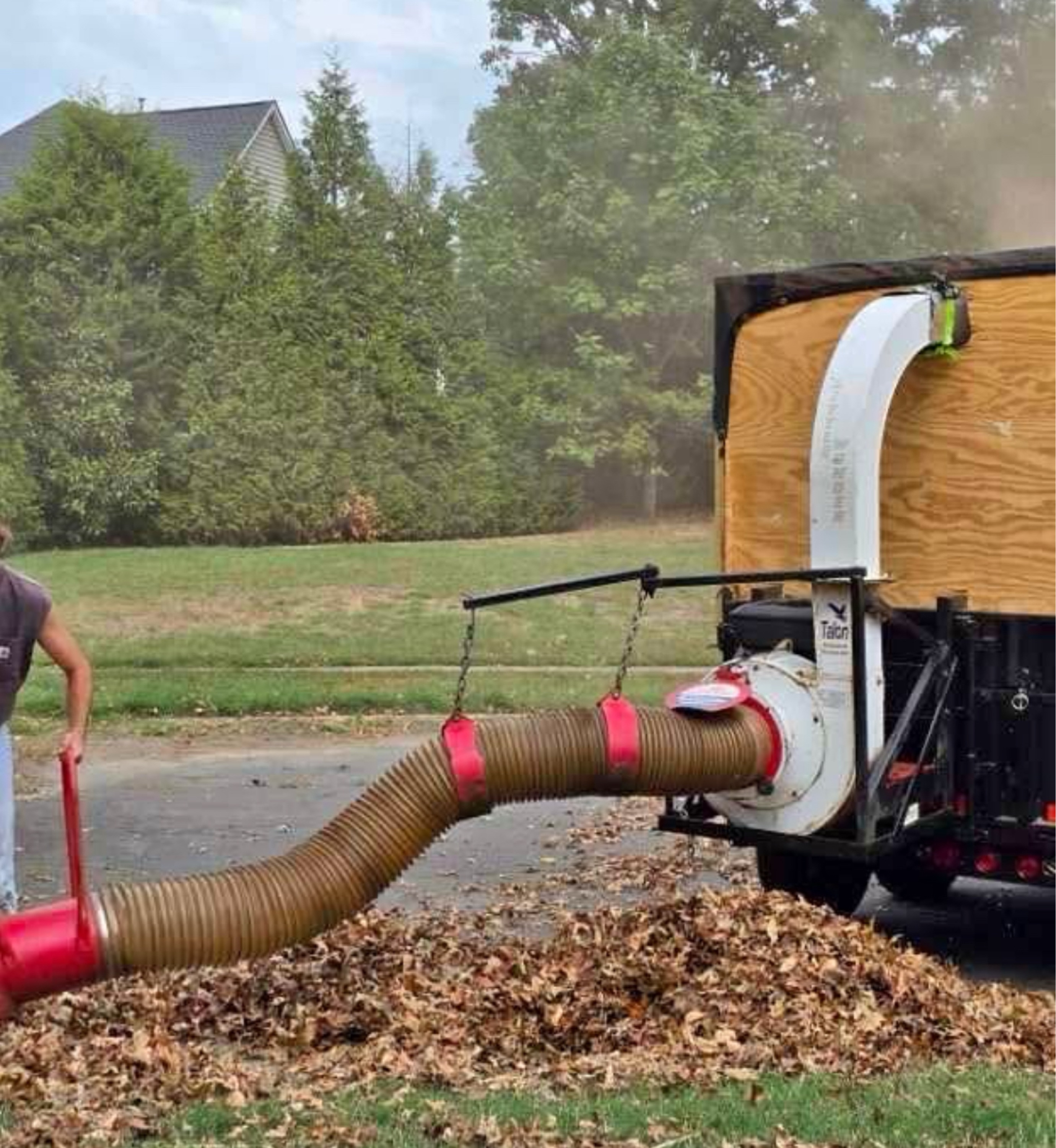 Beltran Landscaping Logo