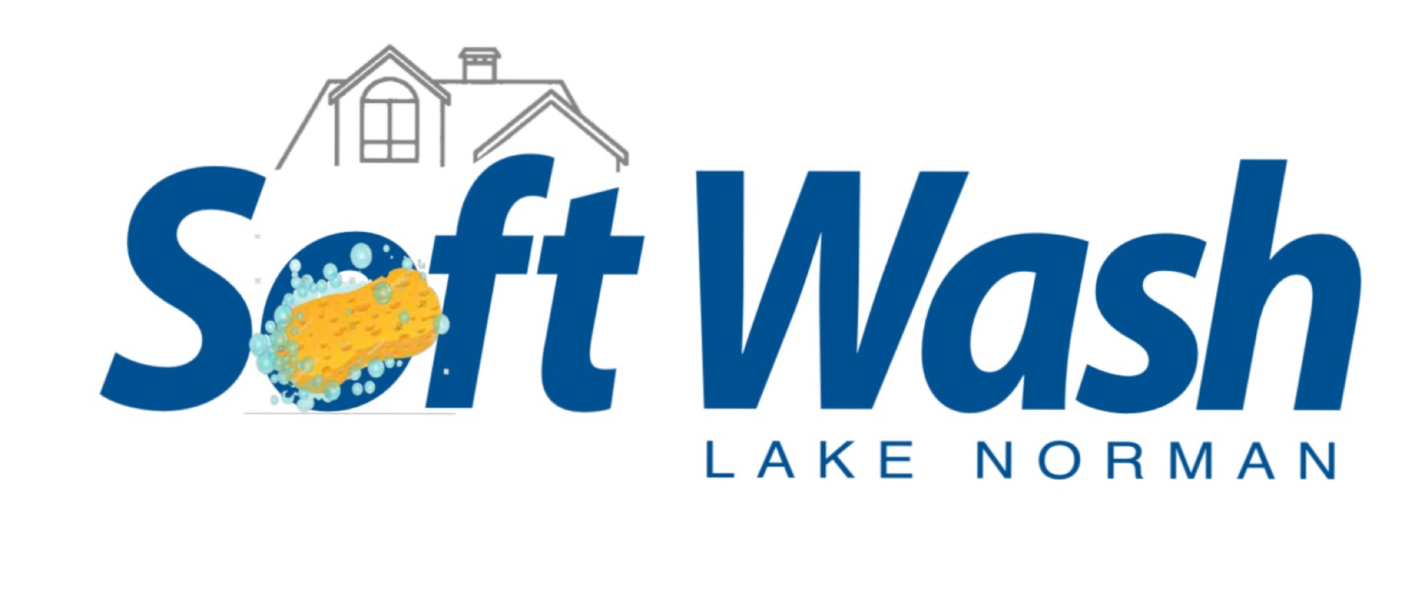 Soft Wash Lake Norman Logo