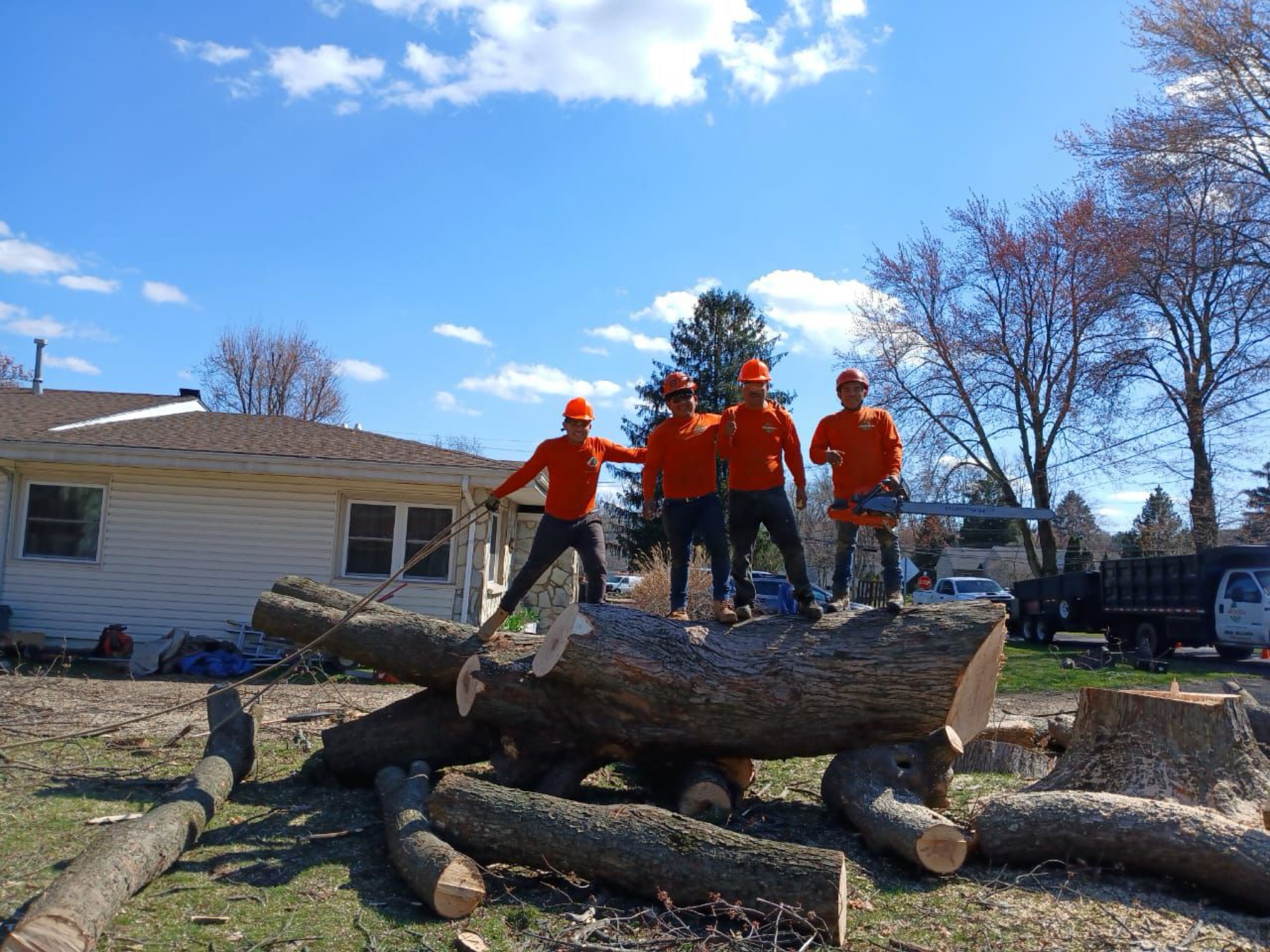 Pineda Tree & Lawn Services Logo