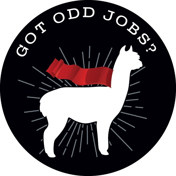 Got Odd Jobs? LLC Logo