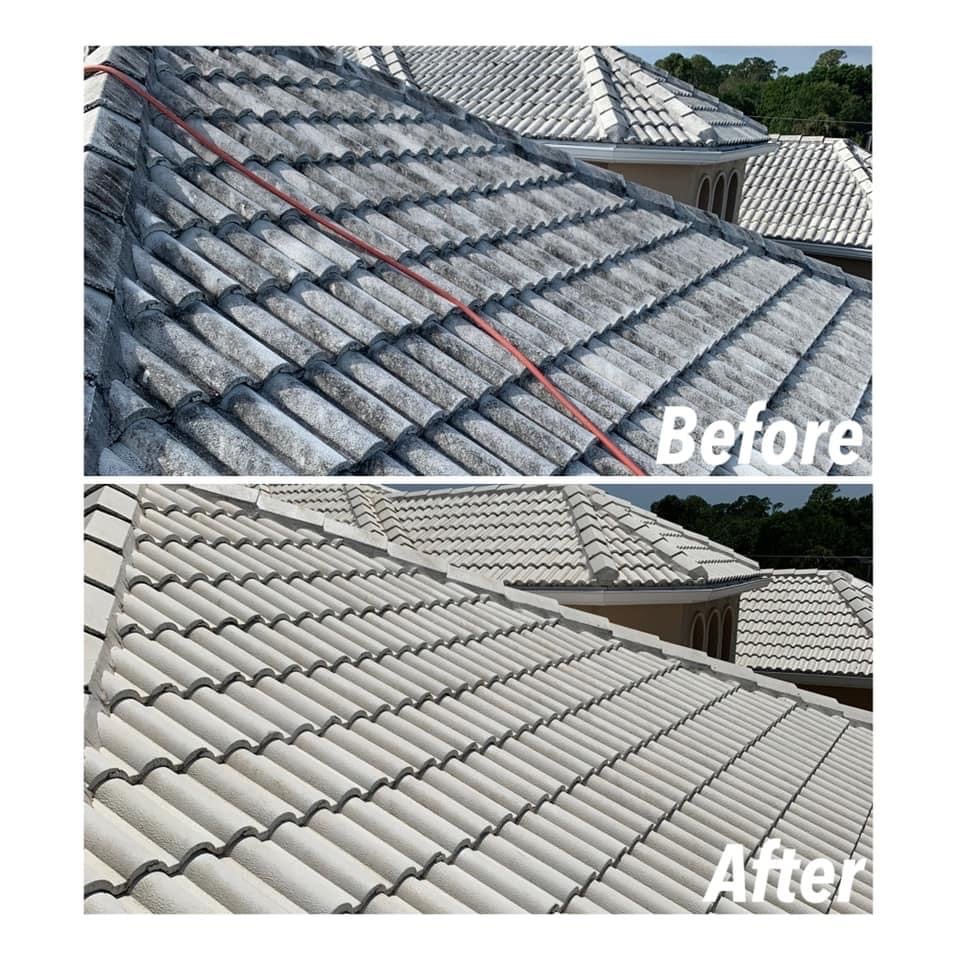 Affordable Roof Cleaning Logo