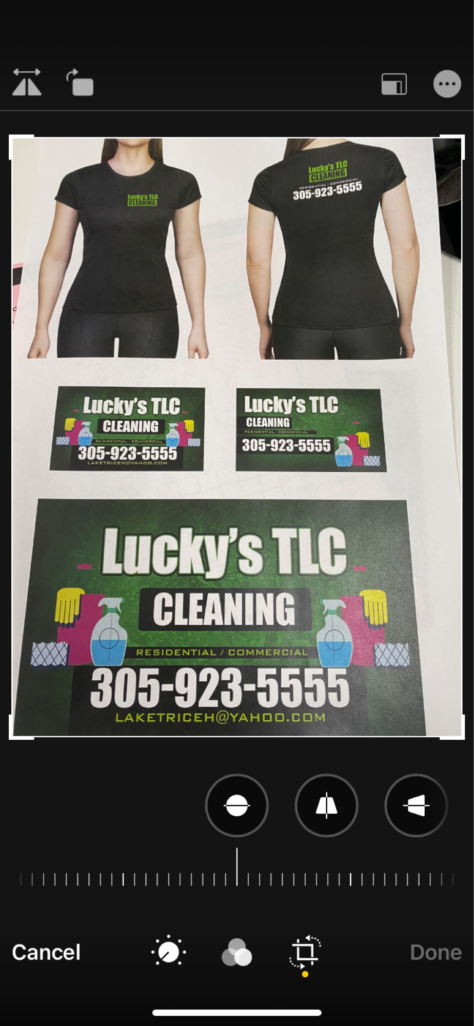 Lucky's TLC Cleaning Logo
