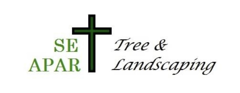 Set Apart Tree Logo