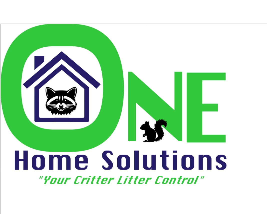 One Home Solutions Logo