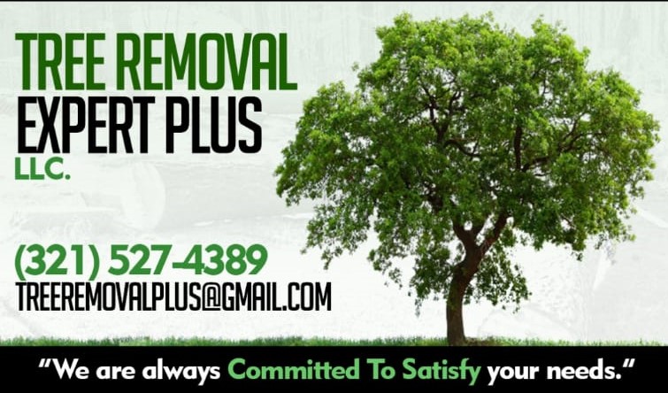 Tree Removal Expert Plus, LLC Logo