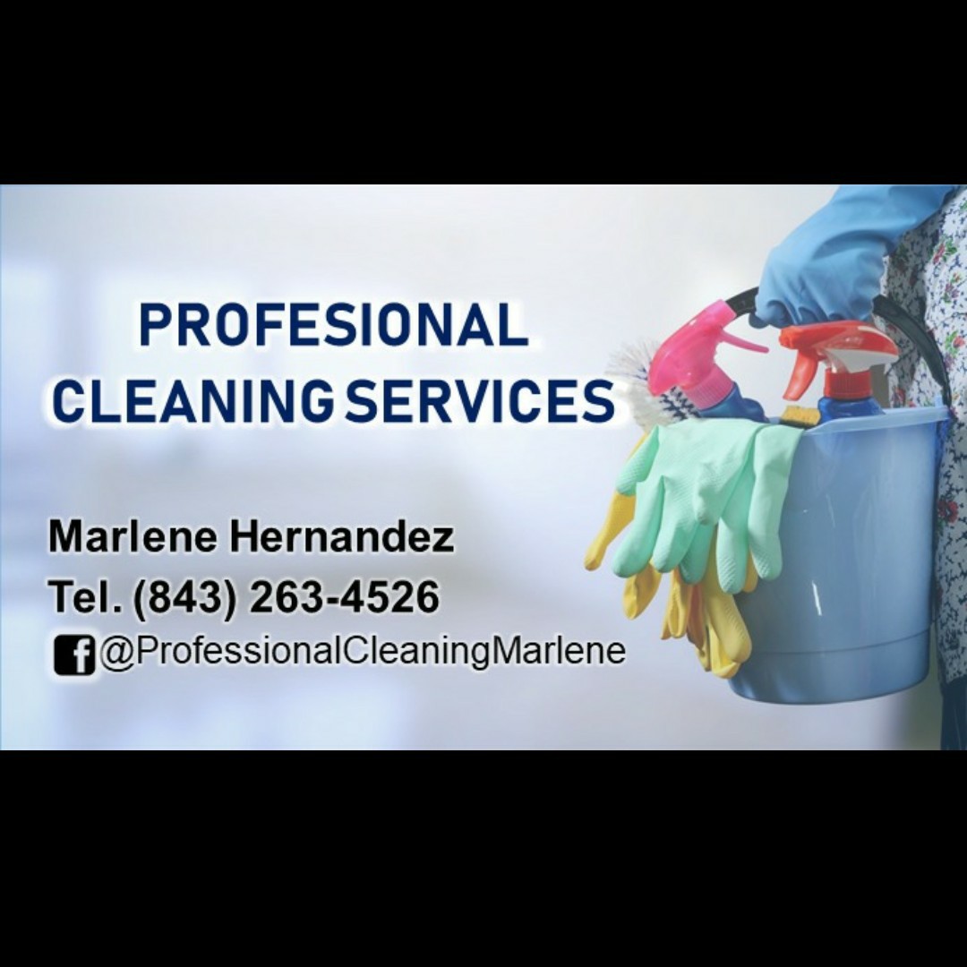 Professional Cleaning Services Logo