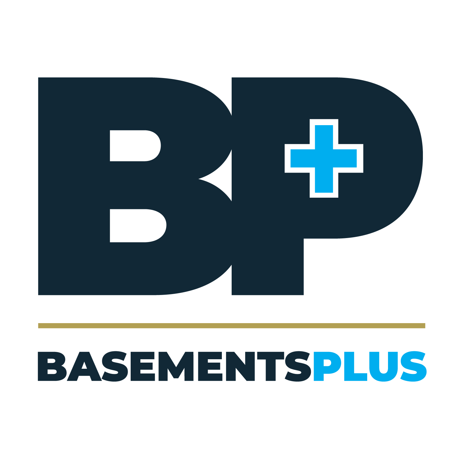 Dry Basements Plus, LLC Logo