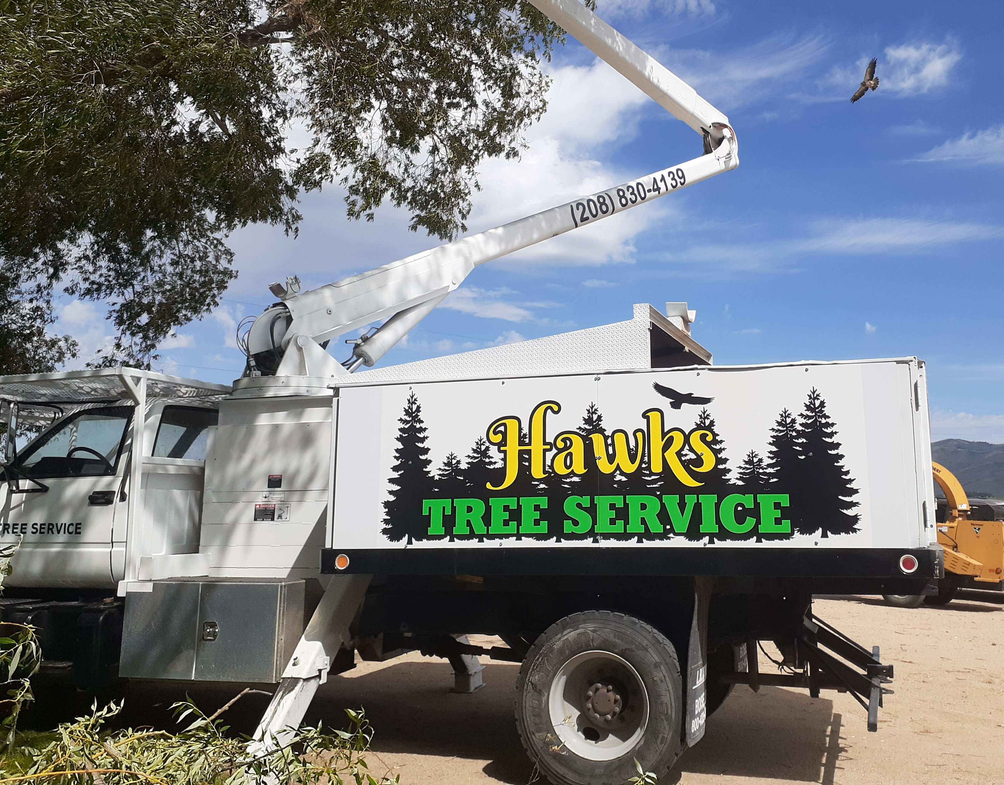 Hawks Tree Service Logo
