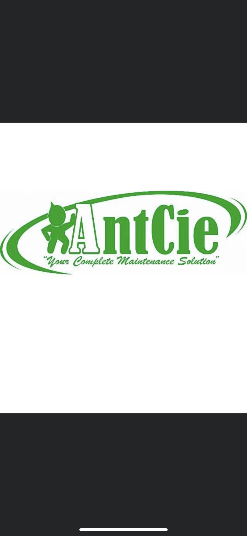 Antcie Maintenance Services, LLC Logo