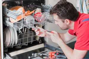 2020 Dishwasher Repair Cost - Replace 