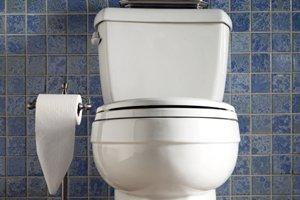 Cost to Install or Replace a Toilet 