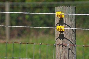 above ground electric dog fence wire