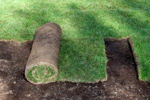 2021 Artificial Grass Cost Guide Turf Install Prices Per Square Foot Homeadvisor